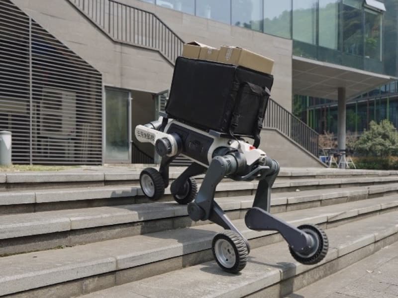 딥로보틱스（云深处科技）