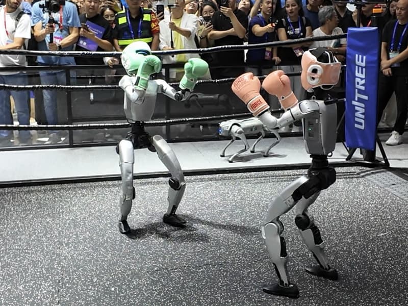 6드래곤 전시장(六小龙展厅)